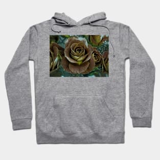 Roses No.1-22 Hoodie